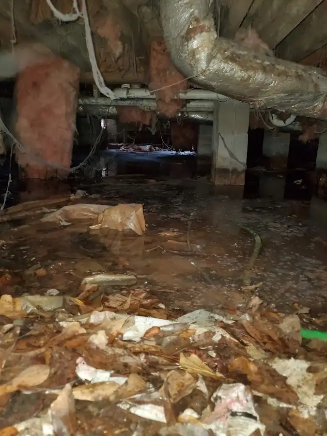 Crawl space flood assessment for Leak Detection & Repair in Washougal